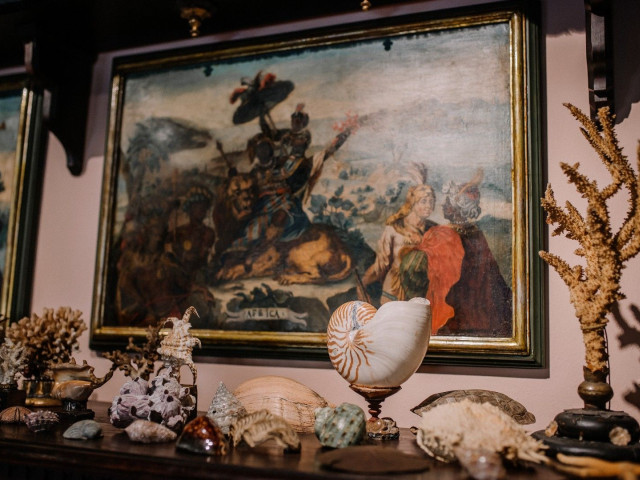 Schatz- und Wunderkammer