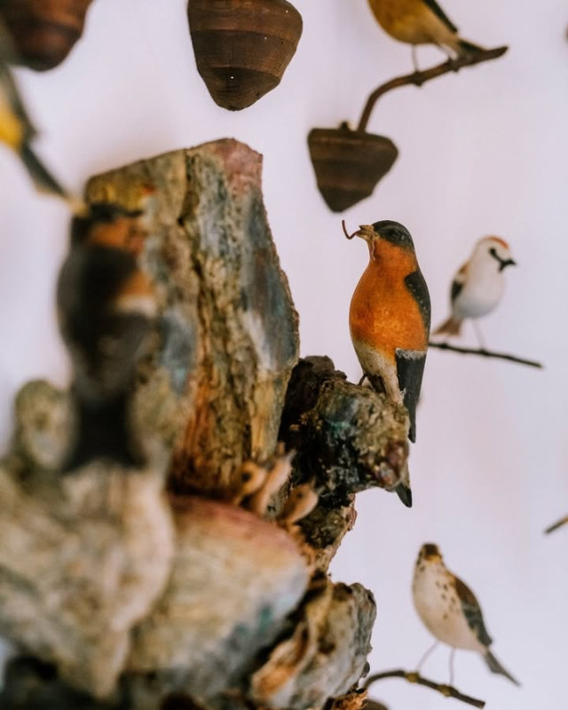 Post vom 01.08.2026 10:01 - ⚜️Exponat des Monats August⚜️ Viechtauer Vögel 19. Jahrhundert Über Jahrhunder